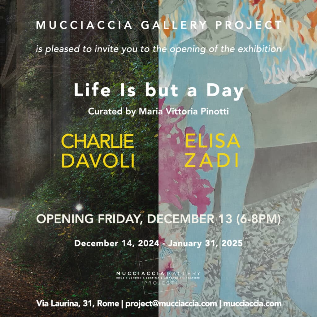 Mucciaccia Gallery Project